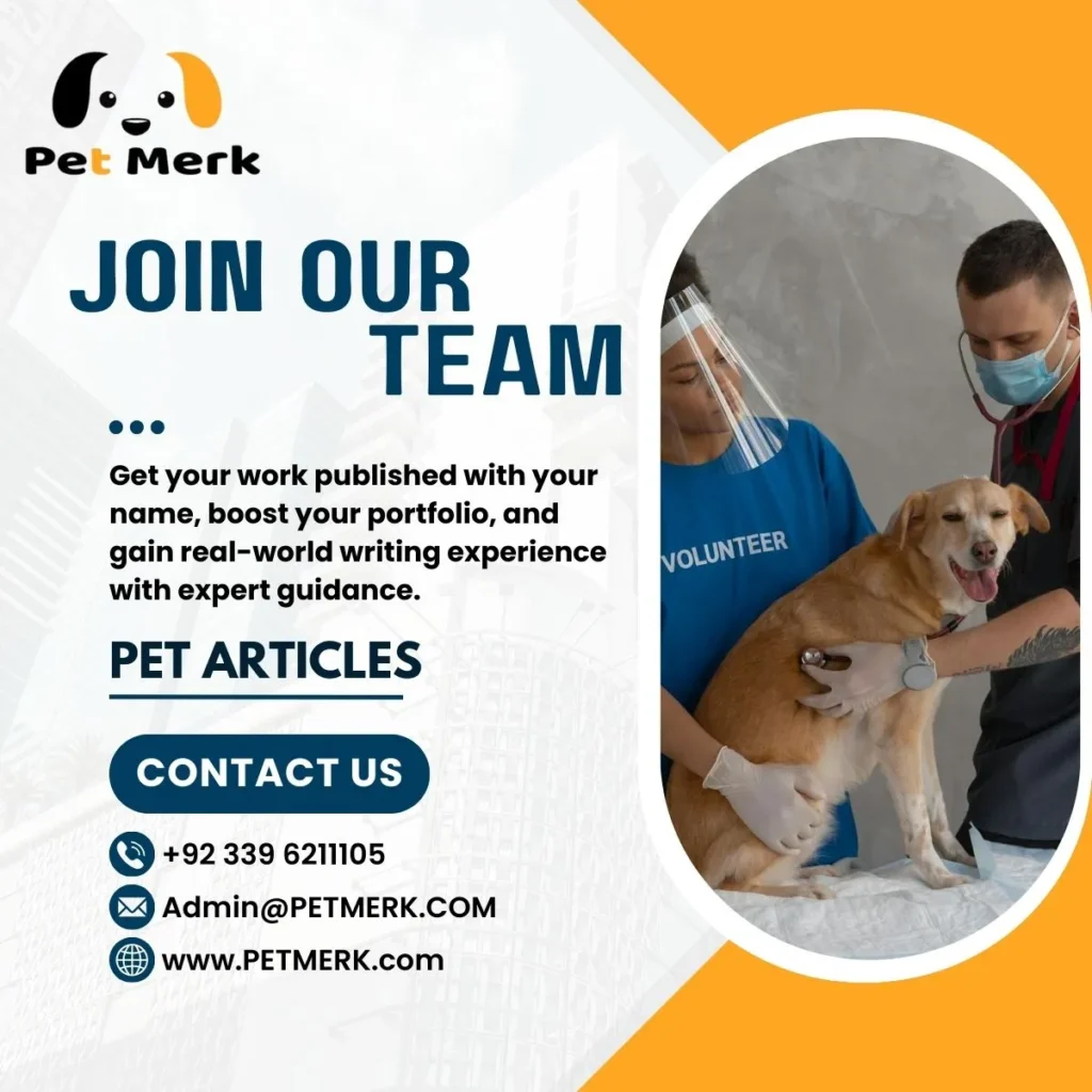 Submit Your Veterinary Article Today