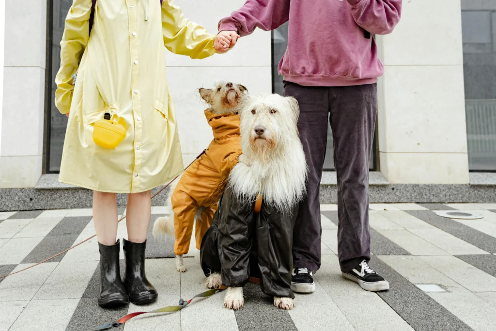 Top 10 Pet-Friendly Dog Walking Spots in the UAE