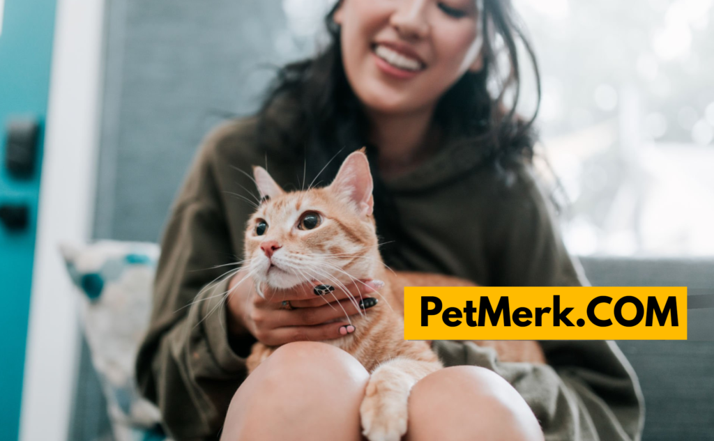 Pet Clinic Near Me