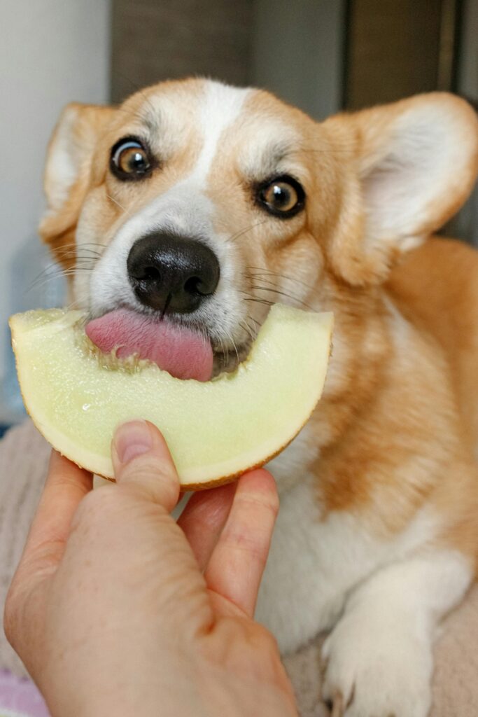 UK's Finest Pet Foods