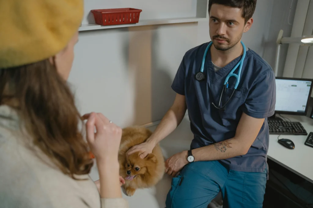 pet clinic near me