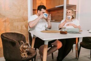 UAE Pet Owners