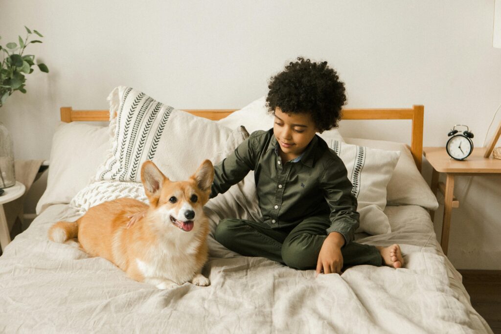 Reasons Your Dog Is Throwing Up