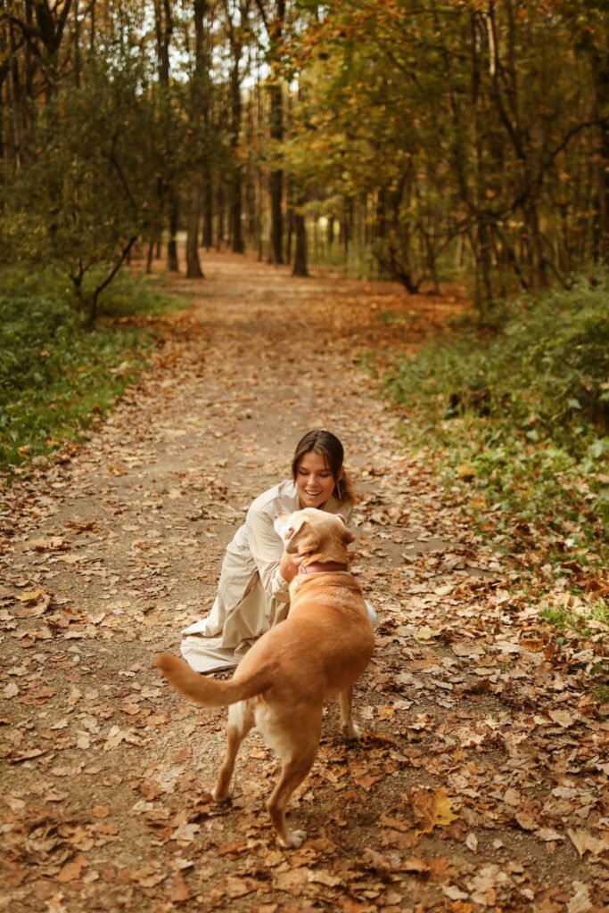Dog Colognes