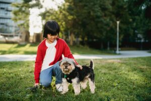 Slicker Brushes for Dogs