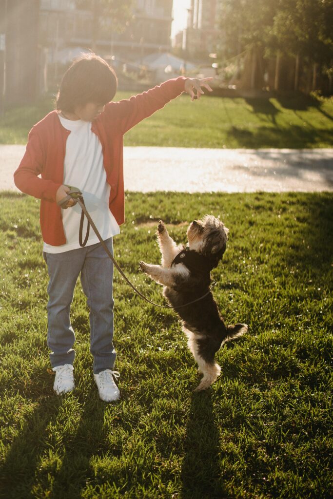 Rally Dog Training Classes