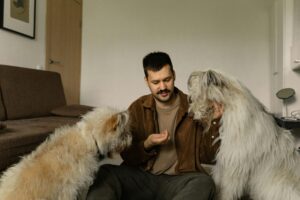 Dental Treats for Dogs 