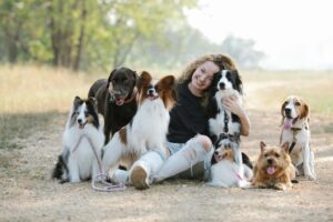 Papillon Breeders