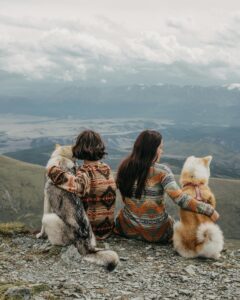 Hiking Dogs