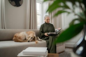 Borzoi breeders
