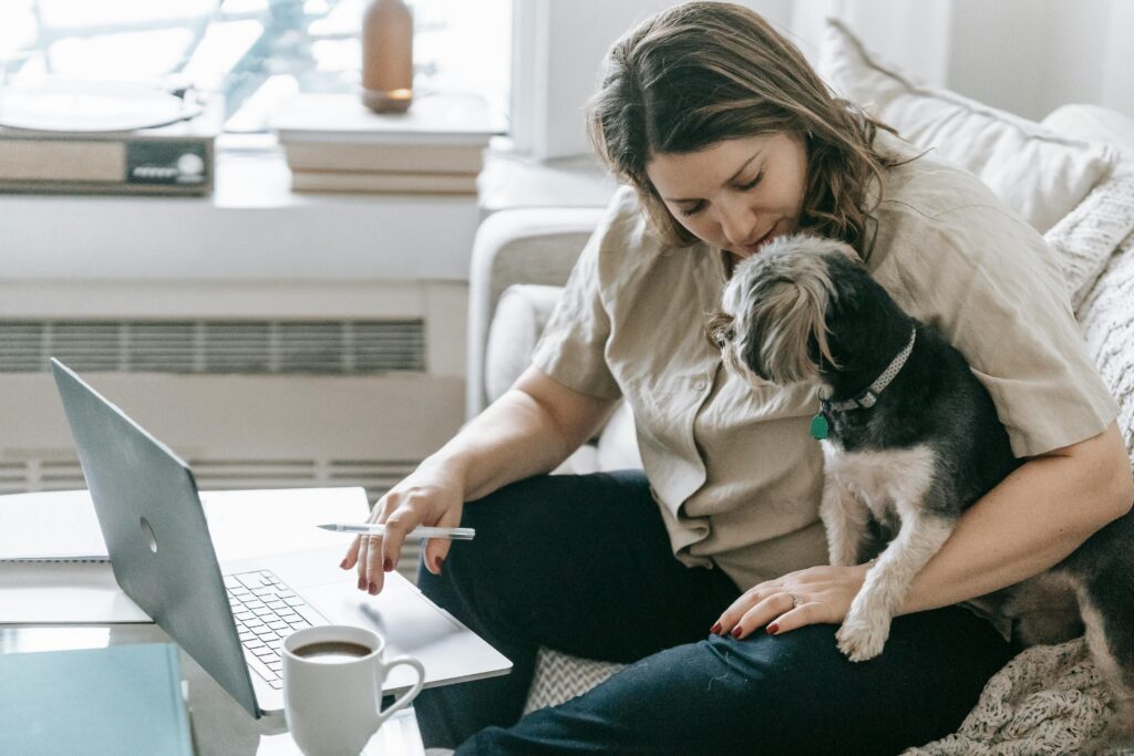 Breeders for Havanese