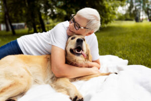 Common Senior Dog Health Issues